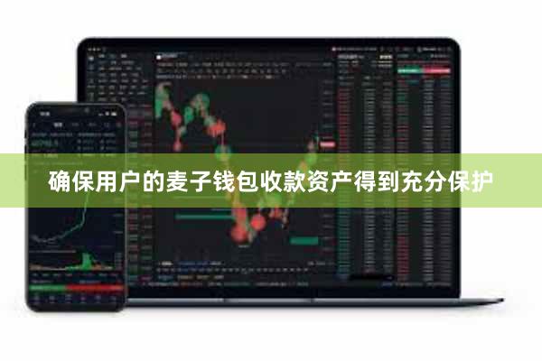 确保用户的麦子钱包收款资产得到充分保护