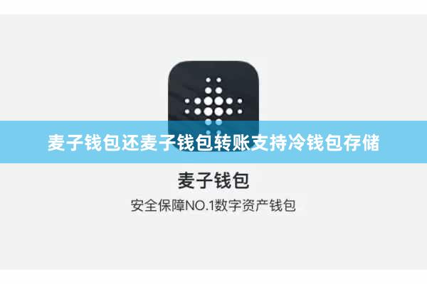 麦子钱包还麦子钱包转账支持冷钱包存储