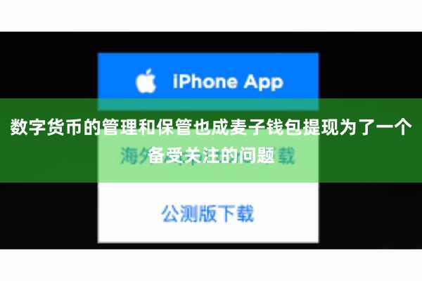 数字货币的管理和保管也成麦子钱包提现为了一个备受关注的问题