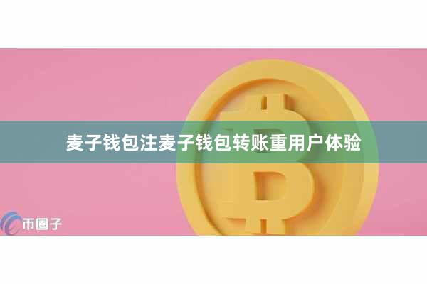 麦子钱包注麦子钱包转账重用户体验