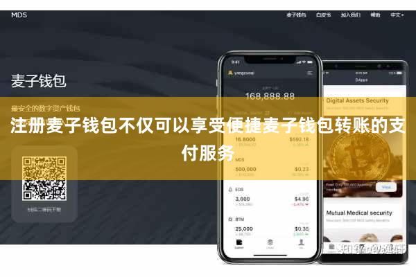 注册麦子钱包不仅可以享受便捷麦子钱包转账的支付服务