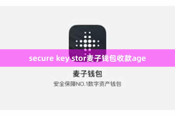 secure key stor麦子钱包收款age