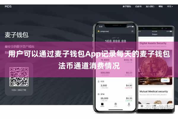 用户可以通过麦子钱包App记录每天的麦子钱包法币通道消费情况