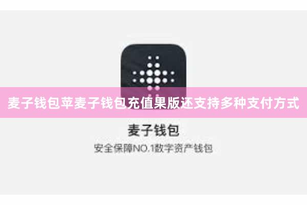 麦子钱包苹麦子钱包充值果版还支持多种支付方式