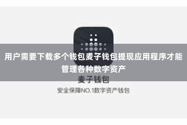 用户需要下载多个钱包麦子钱包提现应用程序才能管理各种数字资产
