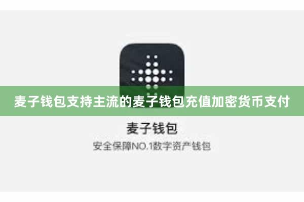 麦子钱包支持主流的麦子钱包充值加密货币支付