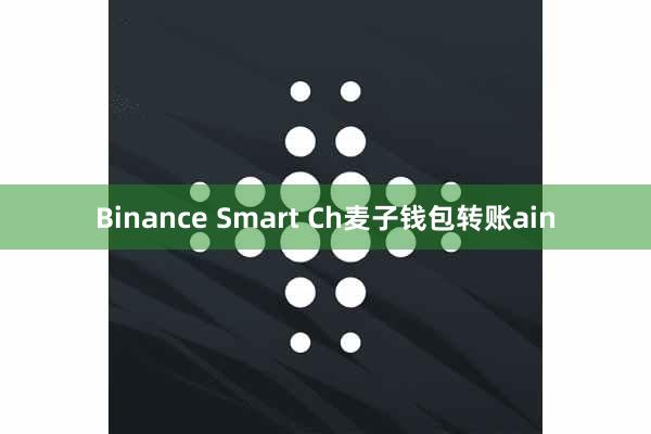 Binance Smart Ch麦子钱包转账ain
