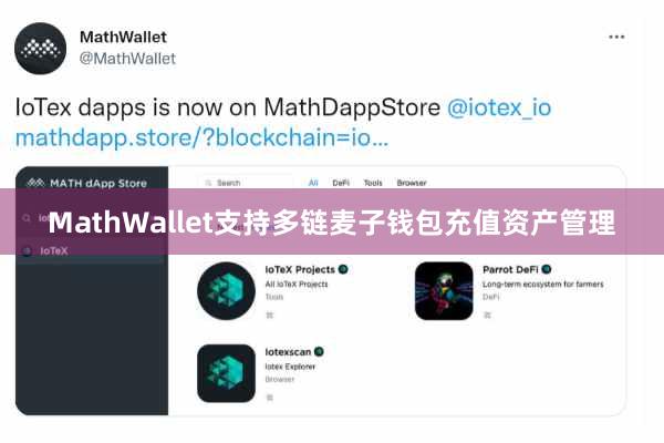 MathWallet支持多链麦子钱包充值资产管理