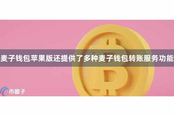 麦子钱包苹果版还提供了多种麦子钱包转账服务功能