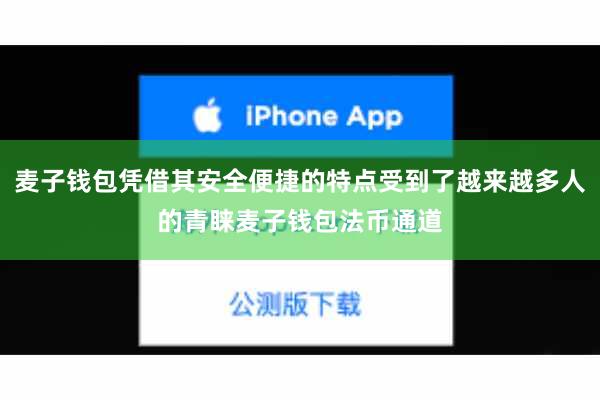 麦子钱包凭借其安全便捷的特点受到了越来越多人的青睐麦子钱包法币通道