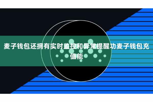 麦子钱包还拥有实时监控和异常提醒功麦子钱包充值能