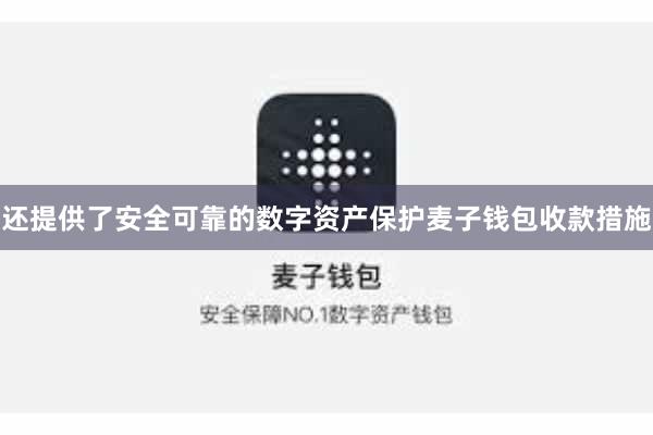 还提供了安全可靠的数字资产保护麦子钱包收款措施