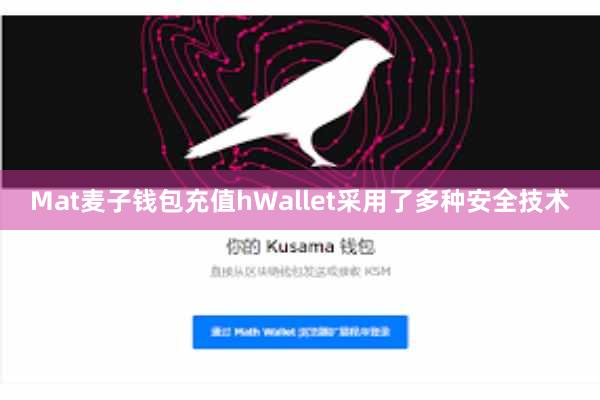 Mat麦子钱包充值hWallet采用了多种安全技术
