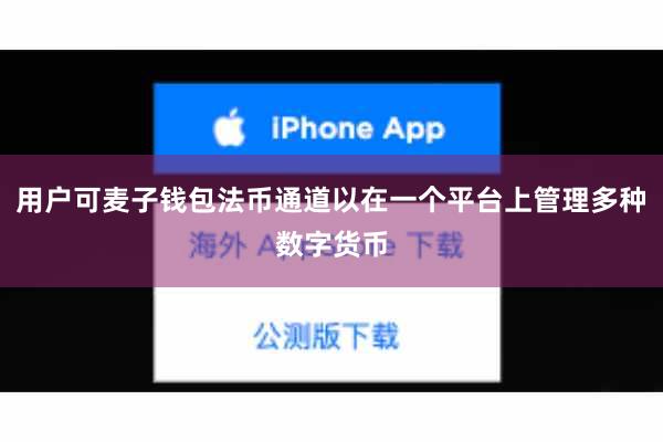 用户可麦子钱包法币通道以在一个平台上管理多种数字货币