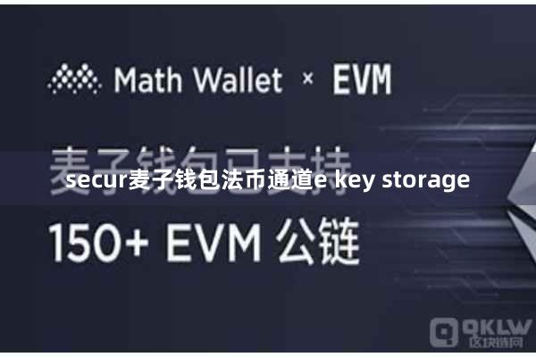 secur麦子钱包法币通道e key storage
