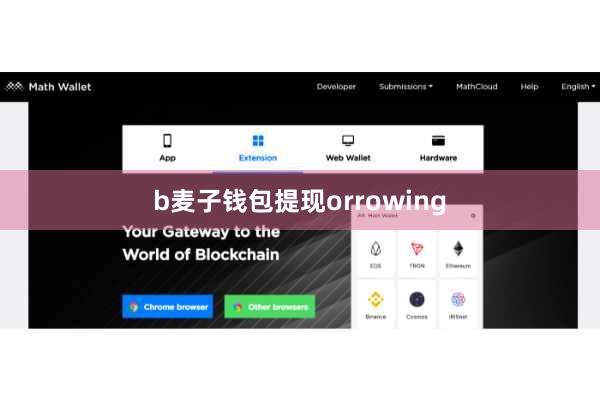 b麦子钱包提现orrowing