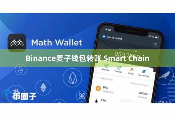Binance麦子钱包转账 Smart Chain