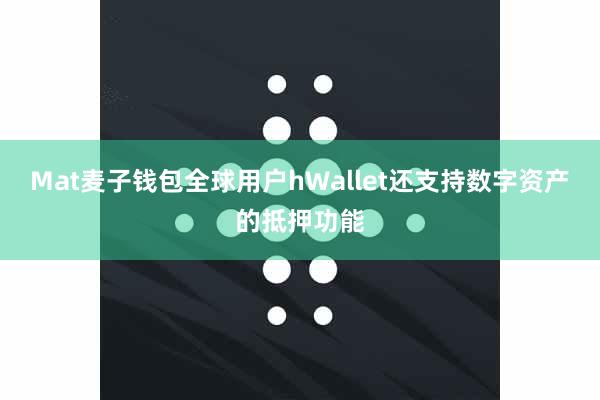 Mat麦子钱包全球用户hWallet还支持数字资产的抵押功能