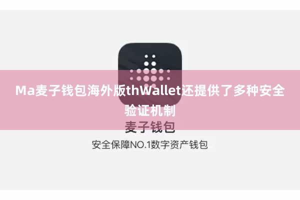 Ma麦子钱包海外版thWallet还提供了多种安全验证机制