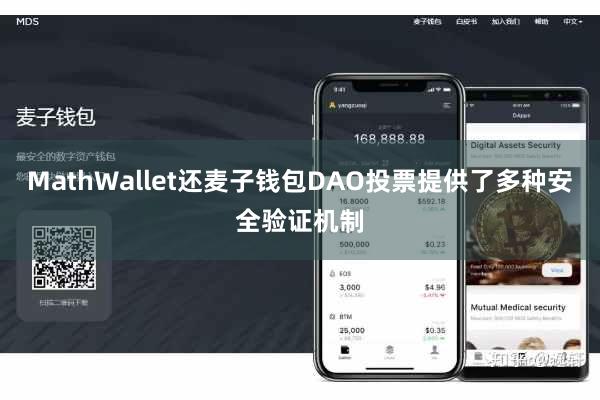 MathWallet还麦子钱包DAO投票提供了多种安全验证机制
