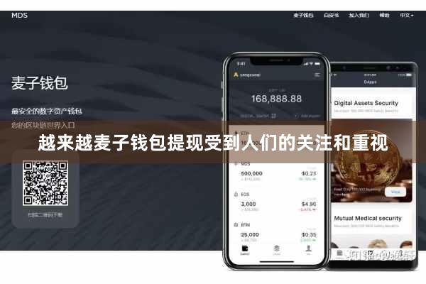 越来越麦子钱包提现受到人们的关注和重视