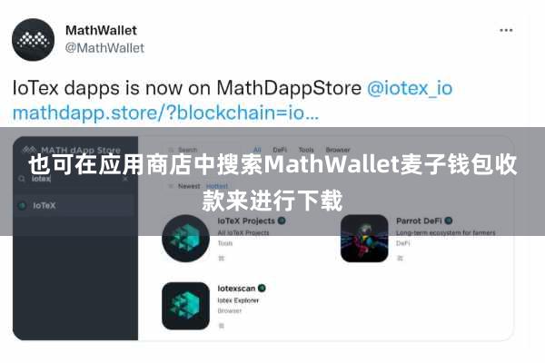 也可在应用商店中搜索MathWallet麦子钱包收款来进行下载