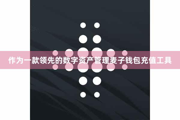 作为一款领先的数字资产管理麦子钱包充值工具