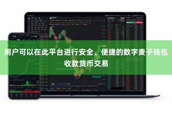 用户可以在此平台进行安全、便捷的数字麦子钱包收款货币交易