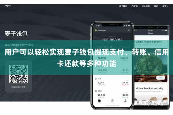 用户可以轻松实现麦子钱包提现支付、转账、信用卡还款等多种功能