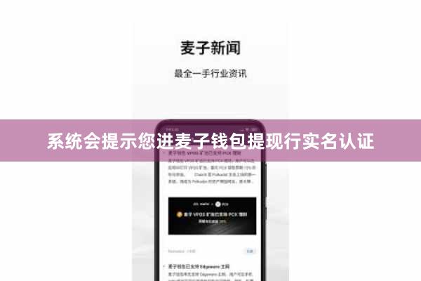 系统会提示您进麦子钱包提现行实名认证