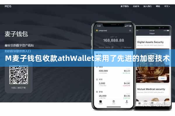 M麦子钱包收款athWallet采用了先进的加密技术